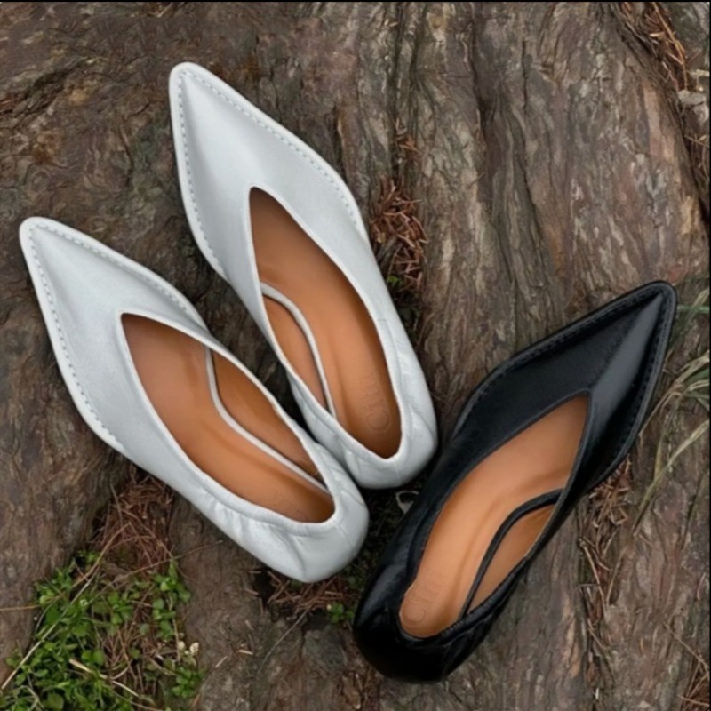 2025 New Pointed Toe Single Sh - đánh giá và giá Women'S Fashion Spring 2025